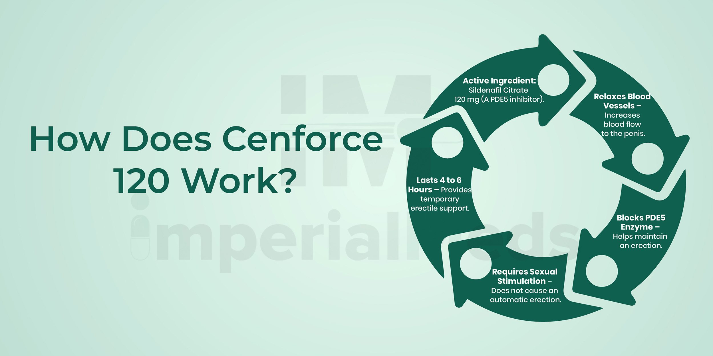 How Does Cenforce 120 Work Visual Guide