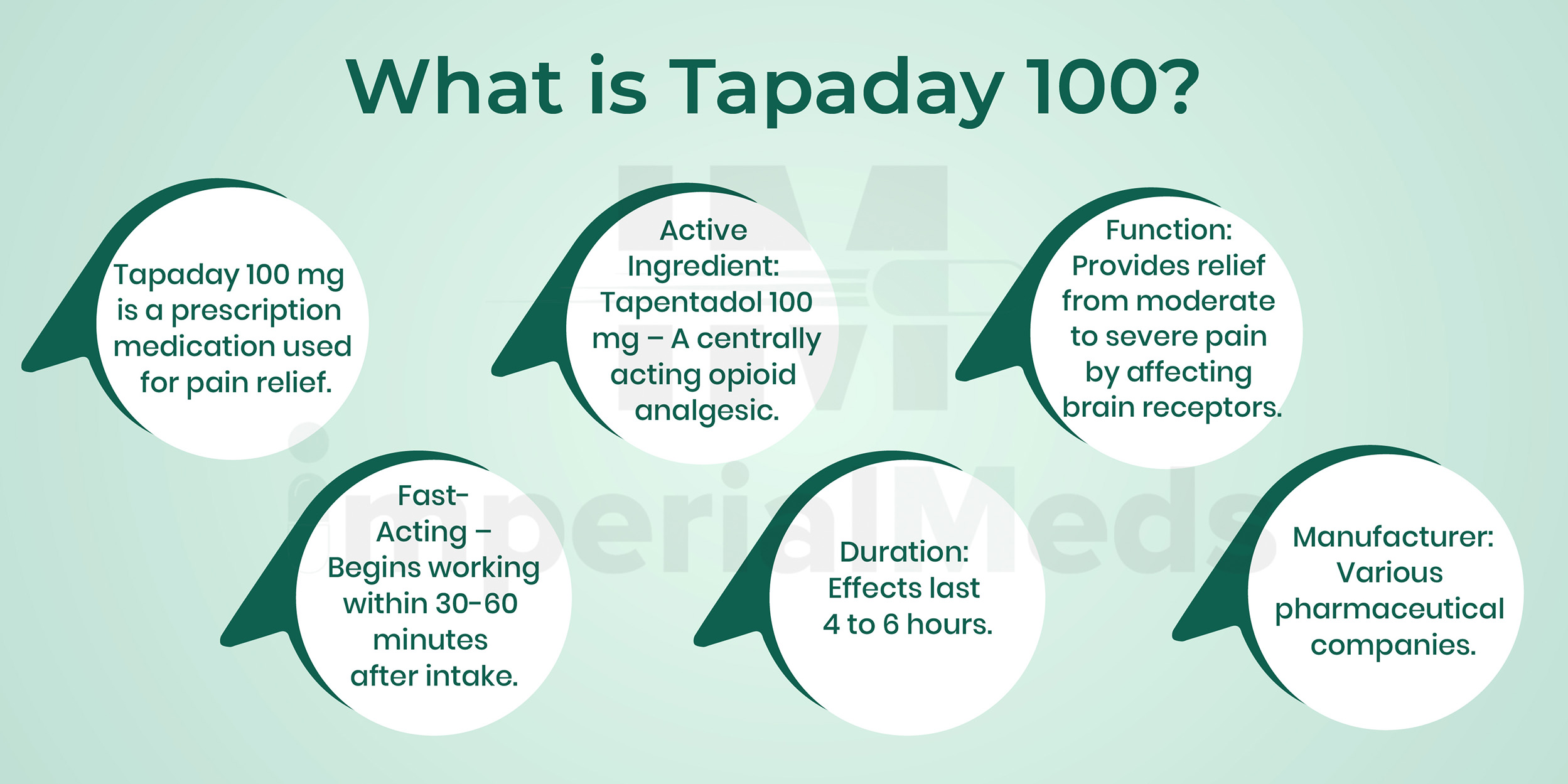 What Is Tapaday 100 Visual Guide