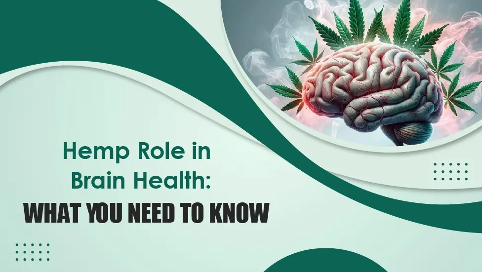 Hemp Role in Brain Health What You Need to Know