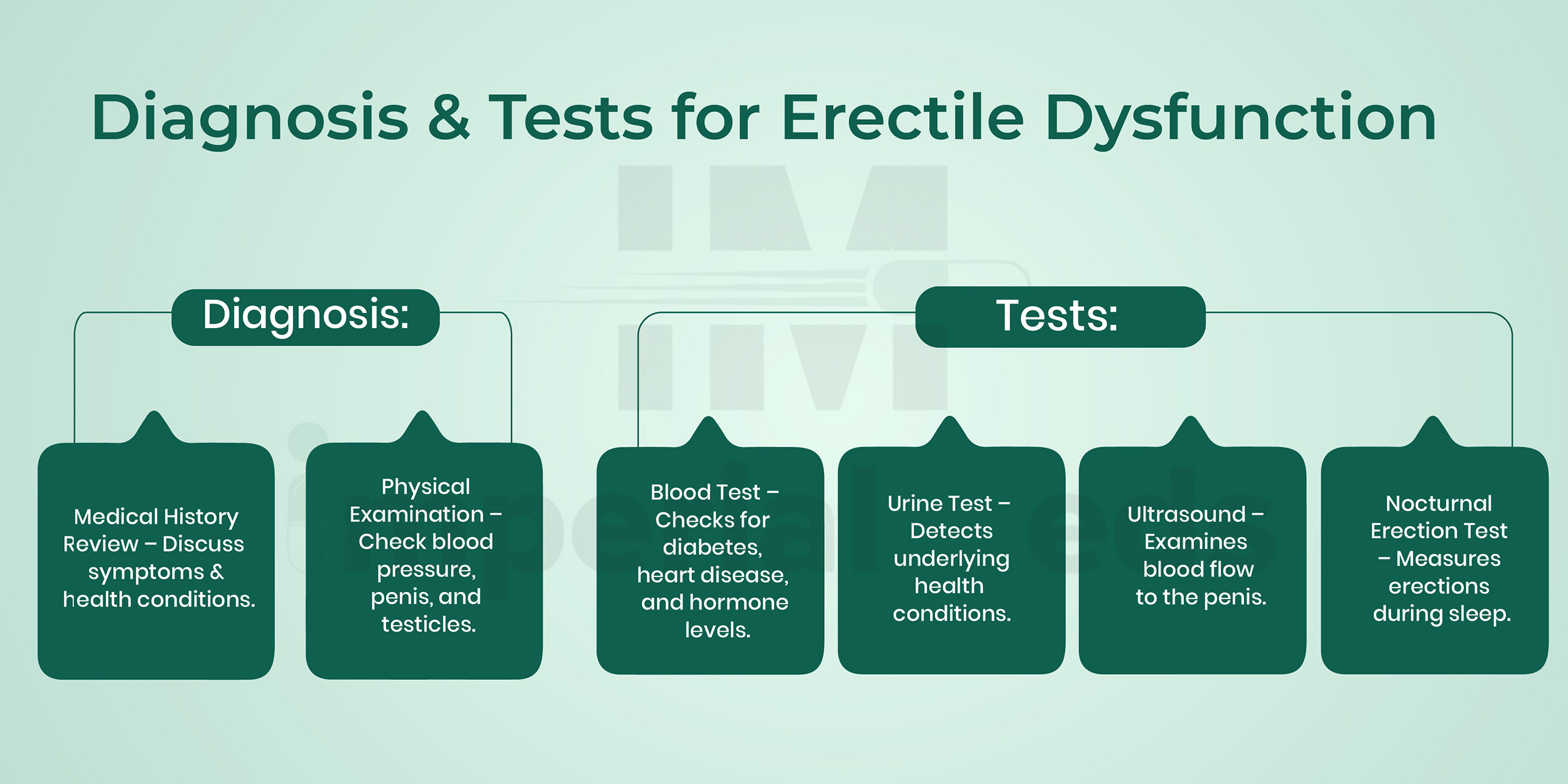 Diagnosis & Tests For Erectile Dysfunction Visual Guide