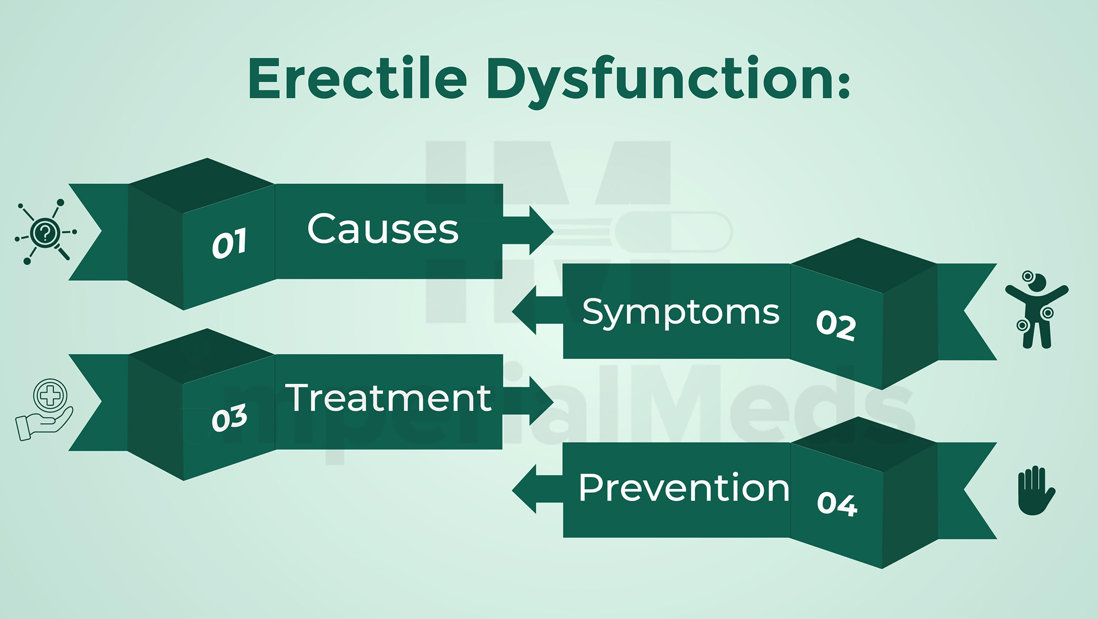 Erectile Dysfunction Causes Symptoms Treatment and Prevention Visual Guide