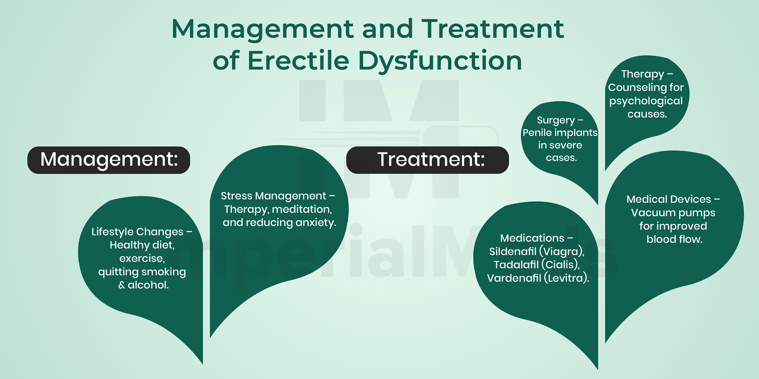 Management And Treatment Of Erectile Dysfunction Visual Guide