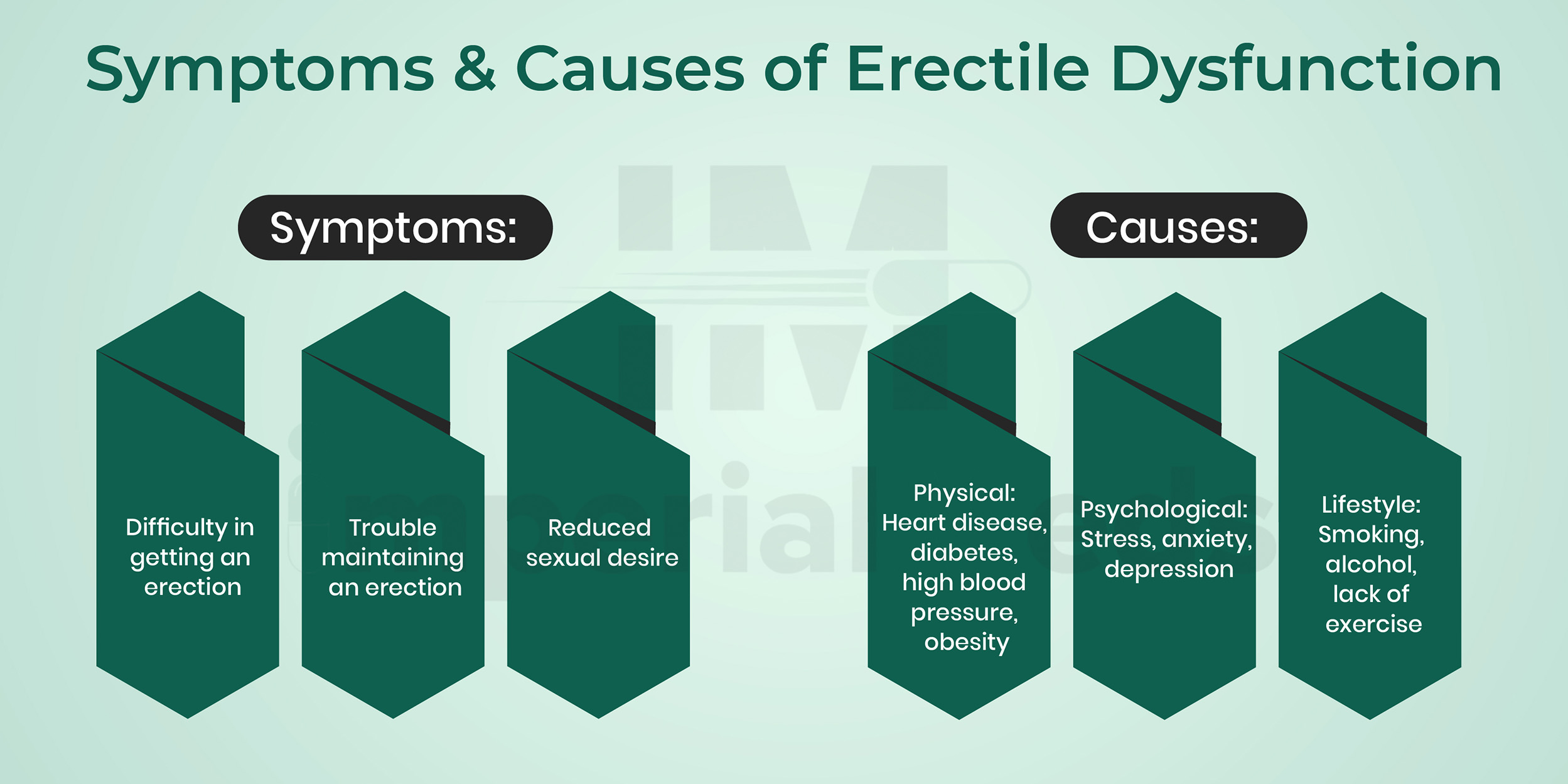 Symptoms And Causes Of Erectile Dysfunction Visual Guide