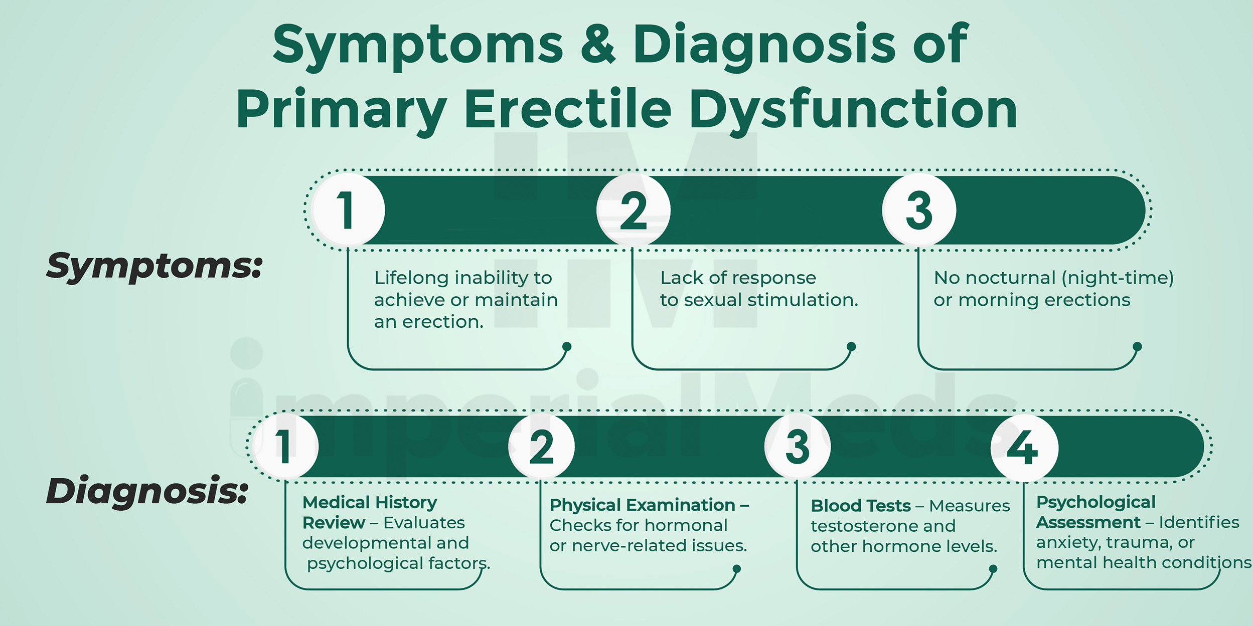 Symptoms And Diagnosis Of Primary Erectile Dysfunction Visual Guide