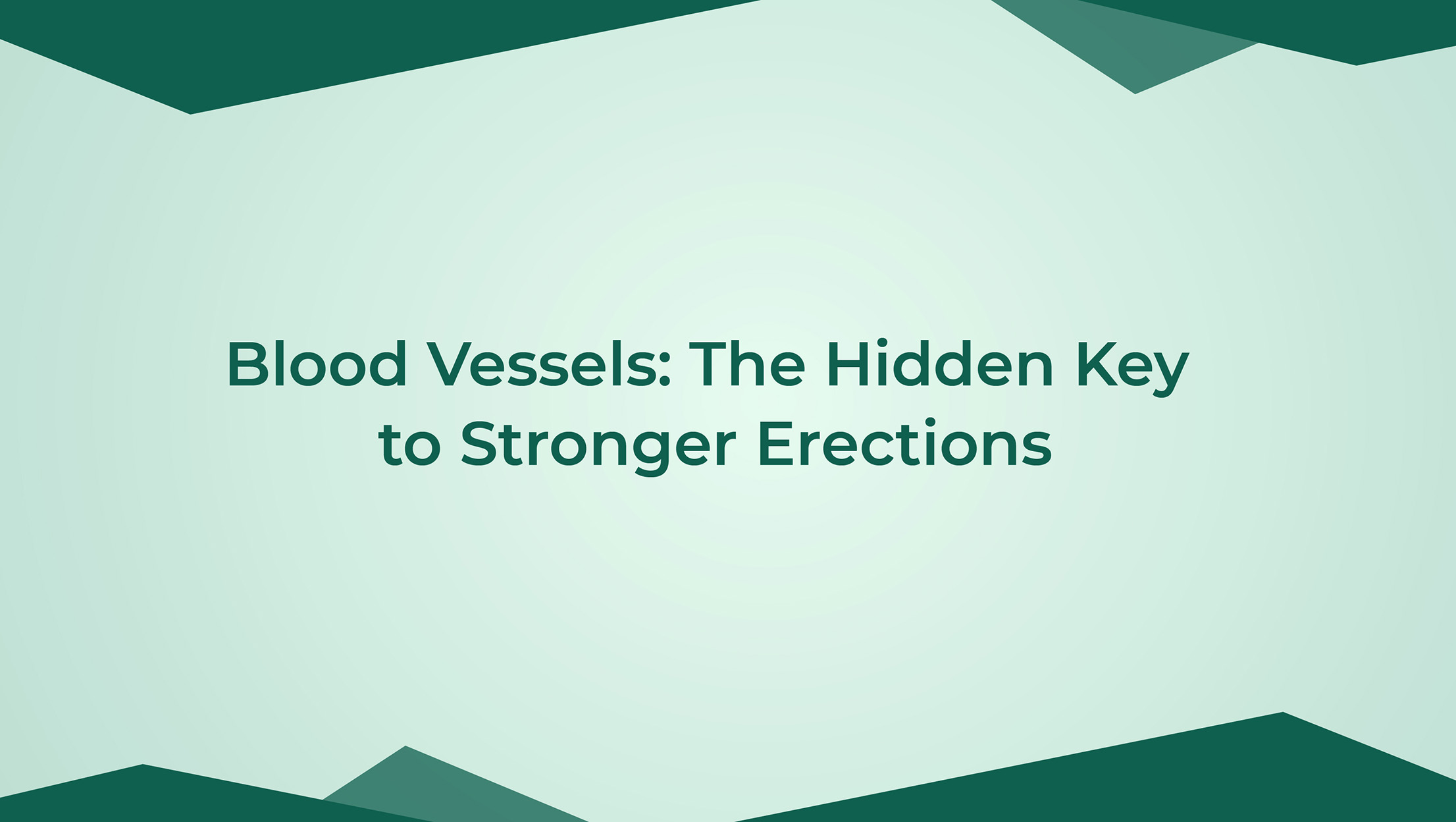 Blood Vessels The Hidden Key To Stronger Erections