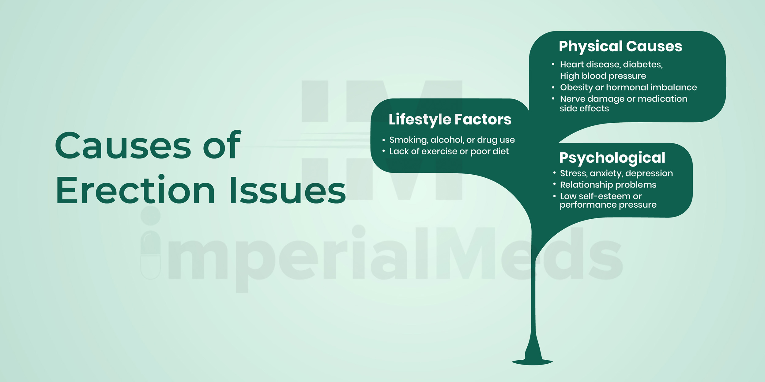 Causes Of Erection Issues Visual Guide
