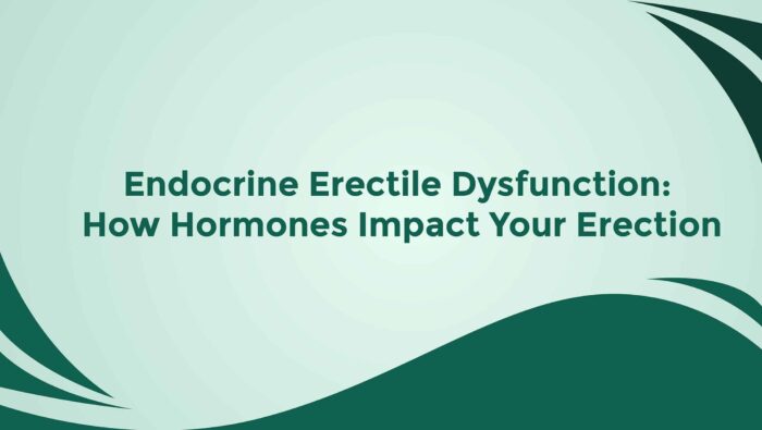 Endocrine Erectile Dysfunction How Hormones Impact Your Erection