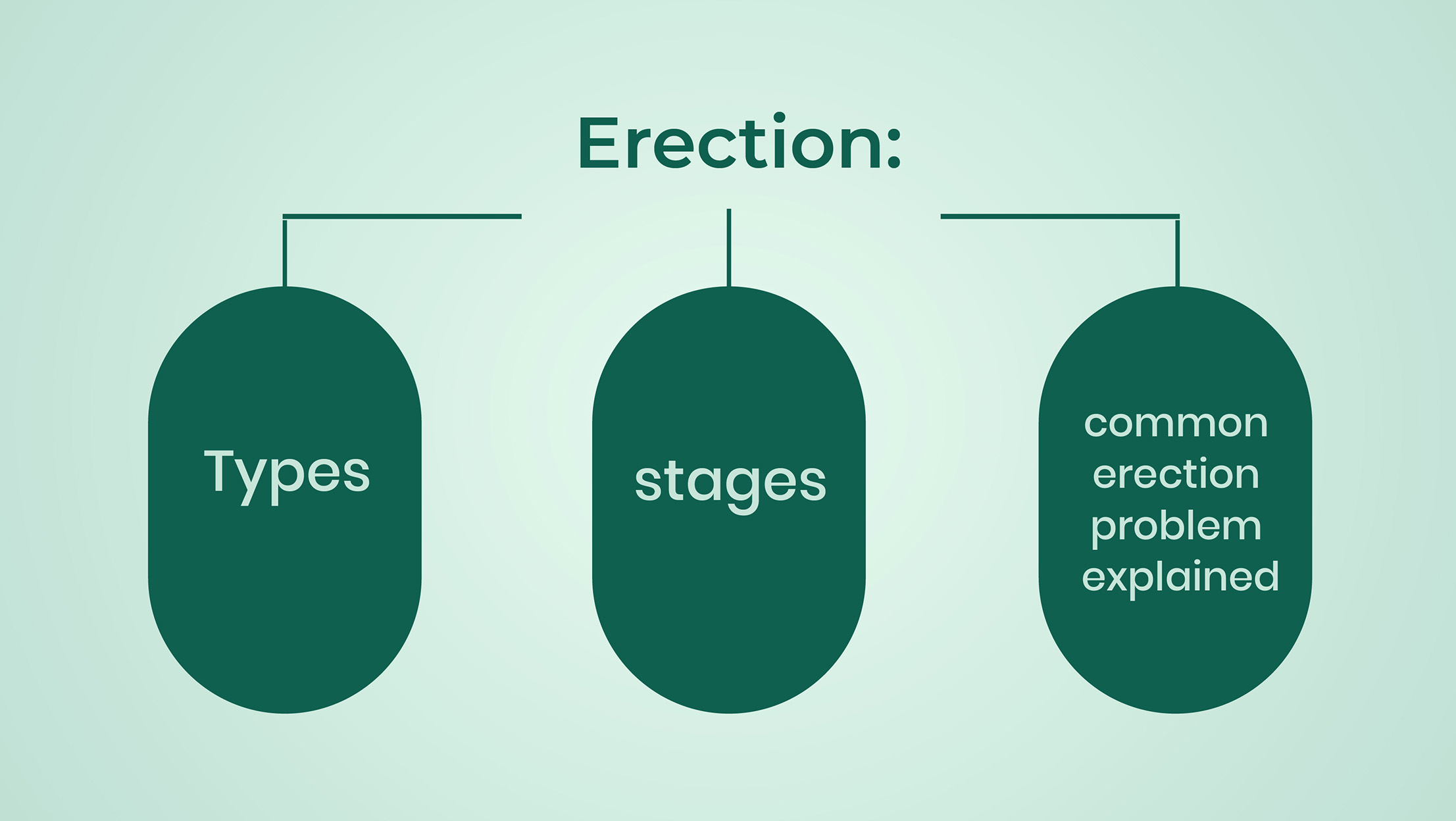 Erection Types Stages and Common Erection Problems Explained
