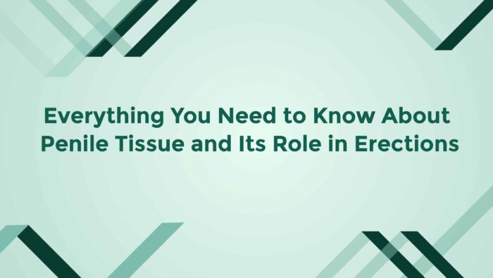 Everything You Need To Know About Penile Tissue And Its Role In Erections