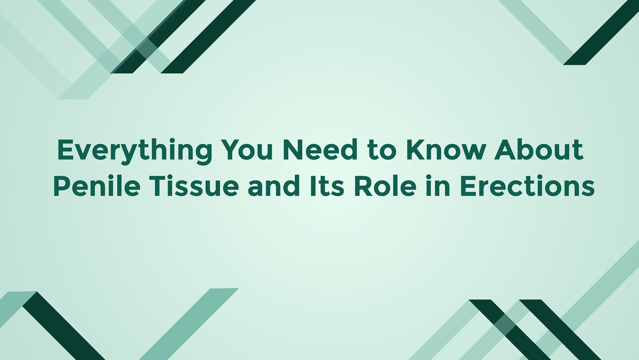 Everything You Need To Know About Penile Tissue And Its Role In Erections