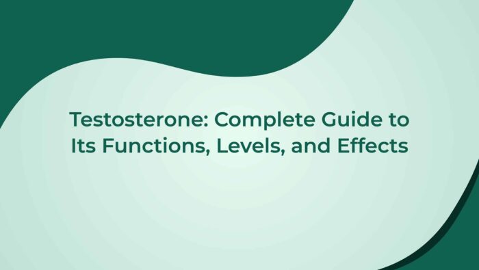Testosterone Complete Guide To Its Functions Levels And Effects