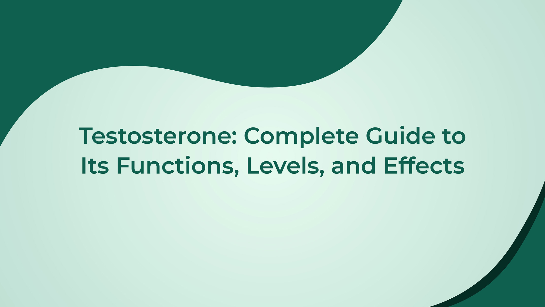 Testosterone Complete Guide To Its Functions Levels And Effects