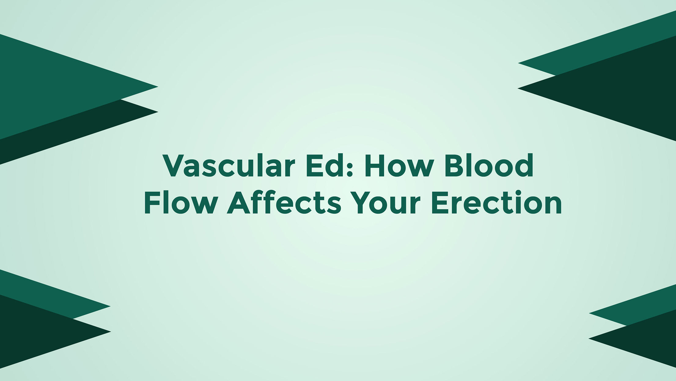 Vascular ED How Blood Flow Affects Your Erection