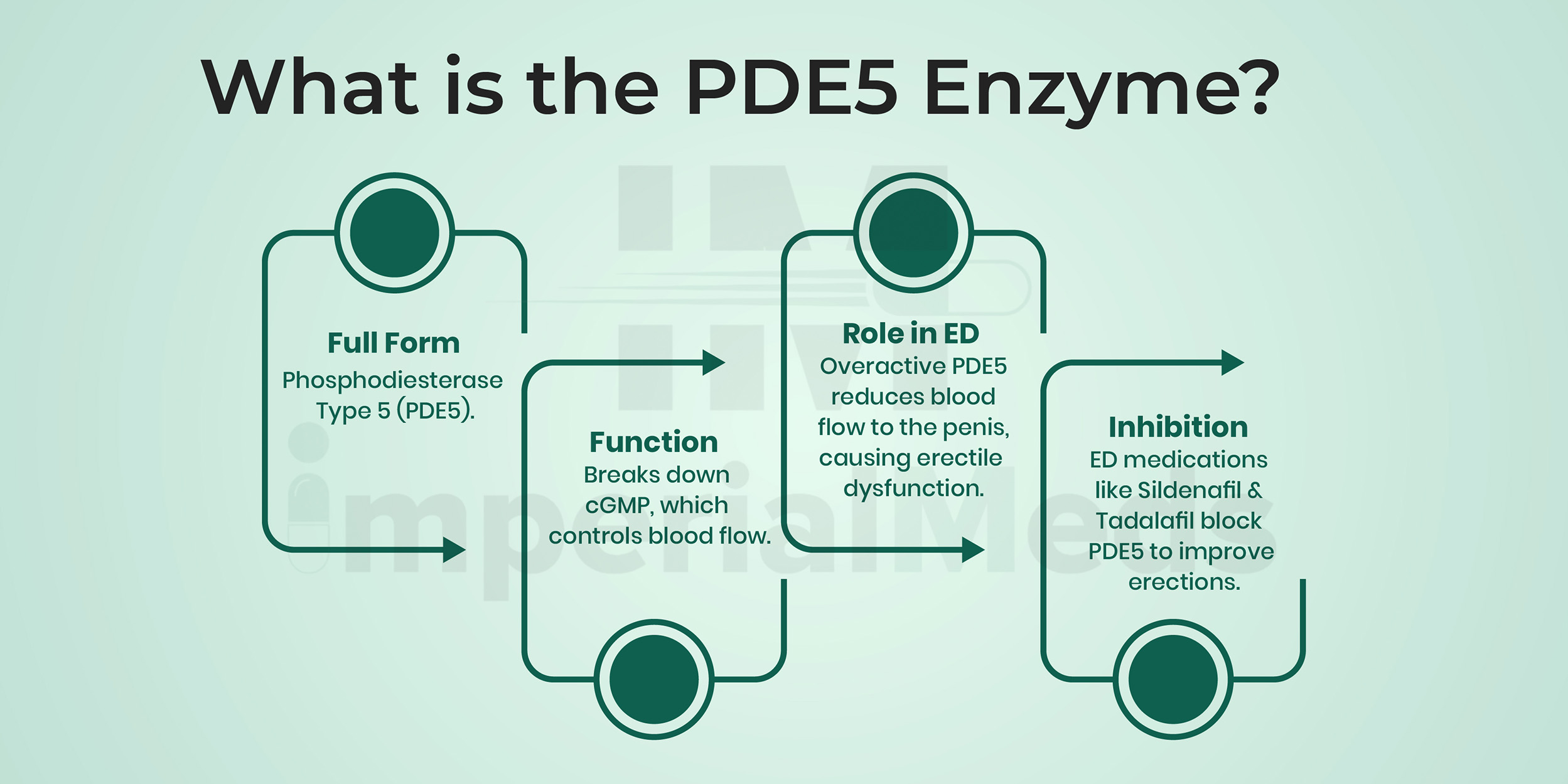What Is The PDE5 Enzyme Visual Guide