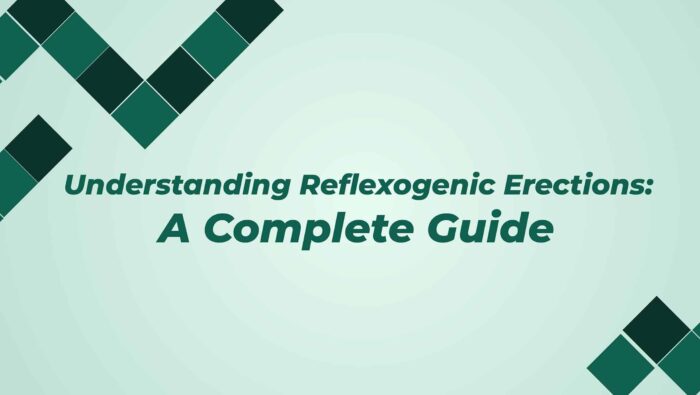Understanding Reflexogenic Erections A Complete Guide