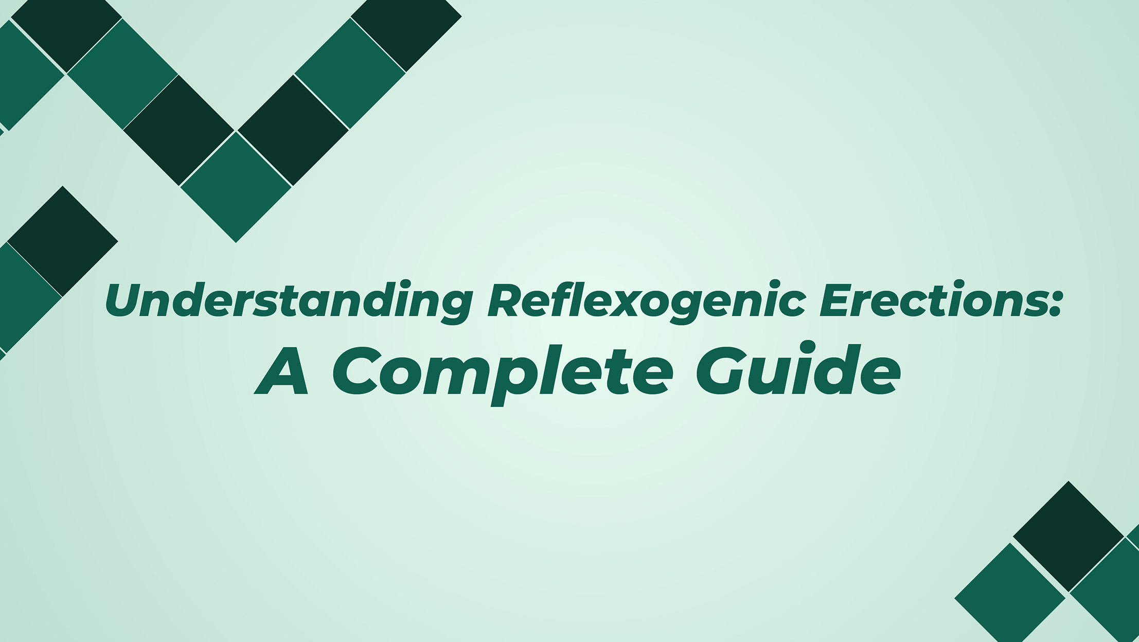 Understanding Reflexogenic Erections A Complete Guide